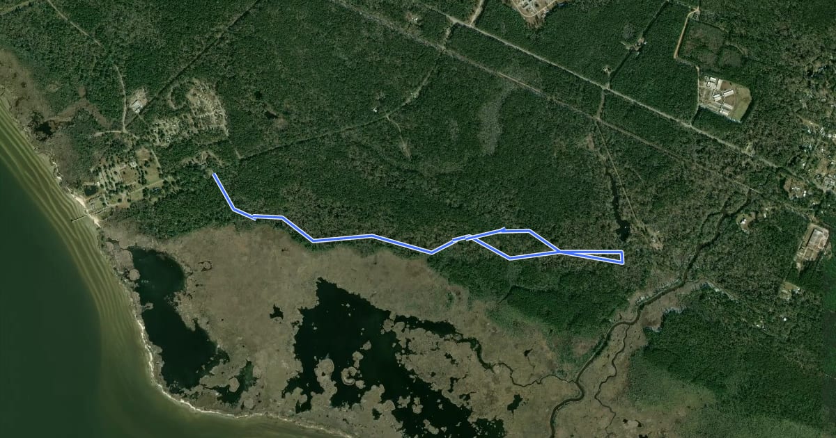 Маршрут Cane Bayou Hiking Trail на спутниковом снимке