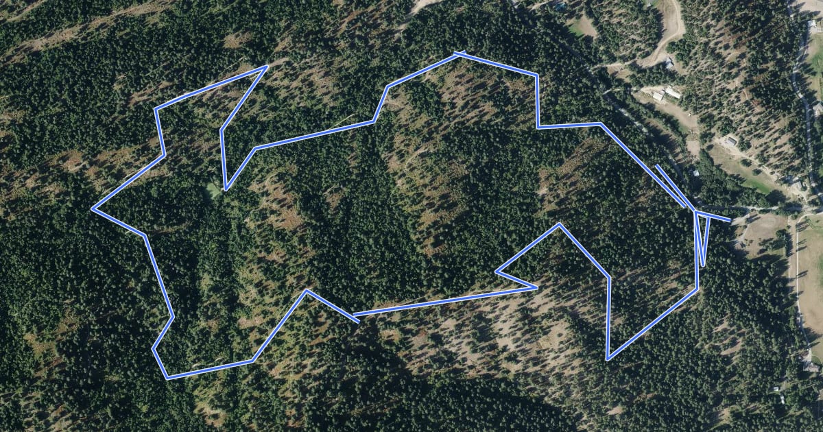 Маршрут Canfield Gulch Trail на спутниковом снимке