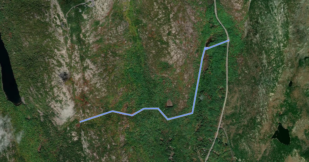 Маршрут Canon Brook Trail на спутниковом снимке