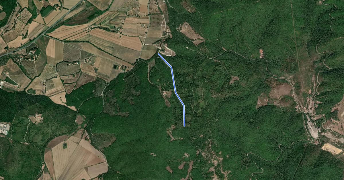 Маршрут Canyon на спутниковом снимке
