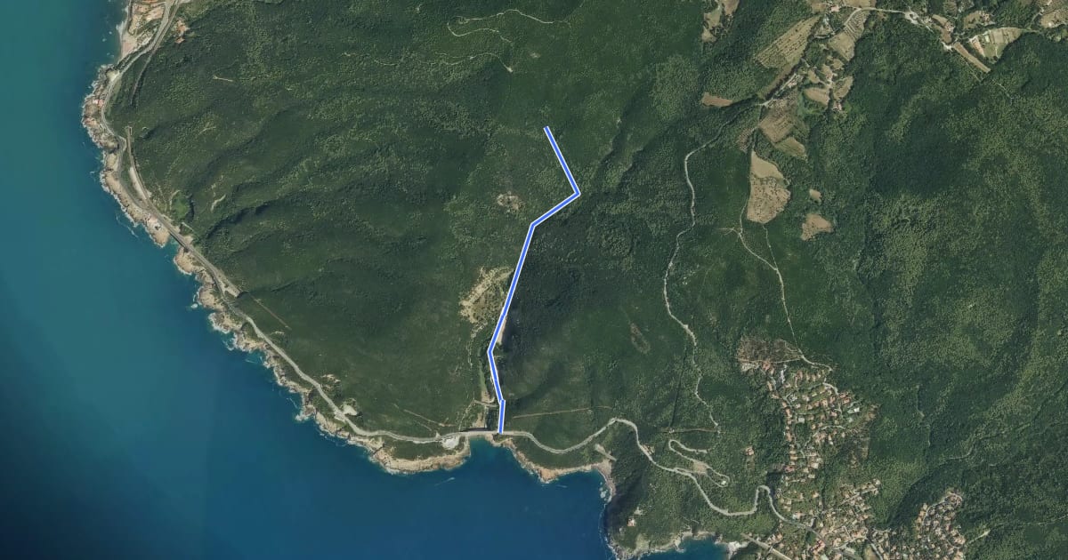 Маршрут Canyon на спутниковом снимке