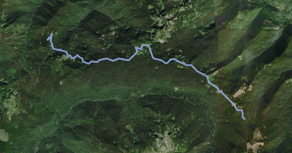 Маршрут Canyon Ridge Trail на спутниковом снимке