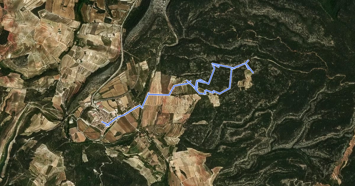 Маршрут Capçanes. Ruta de la Pedra seca на спутниковом снимке