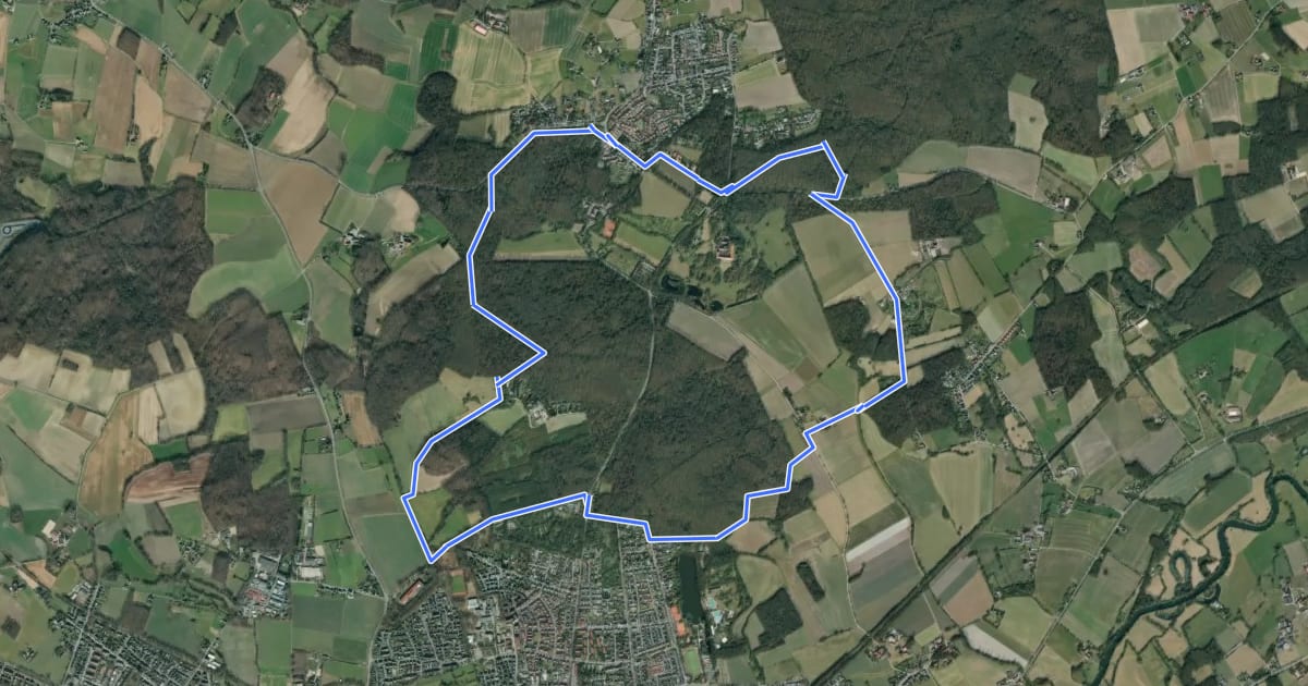 Маршрут Cappenberg Rundweg T на спутниковом снимке
