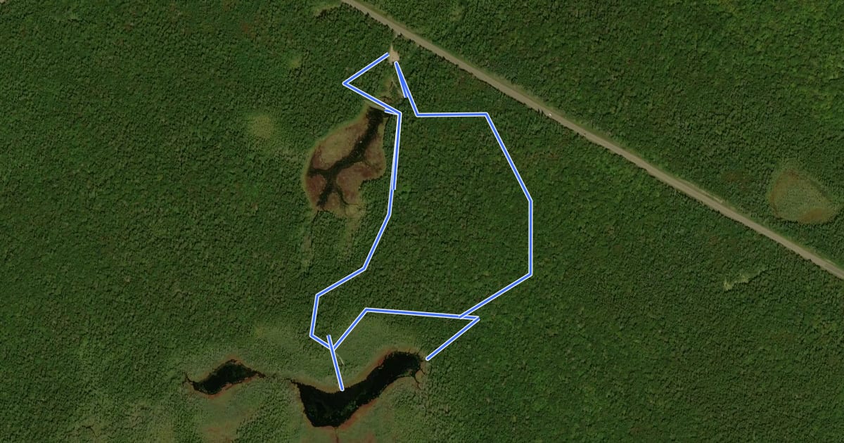 Маршрут Caribou Plain Trail на спутниковом снимке