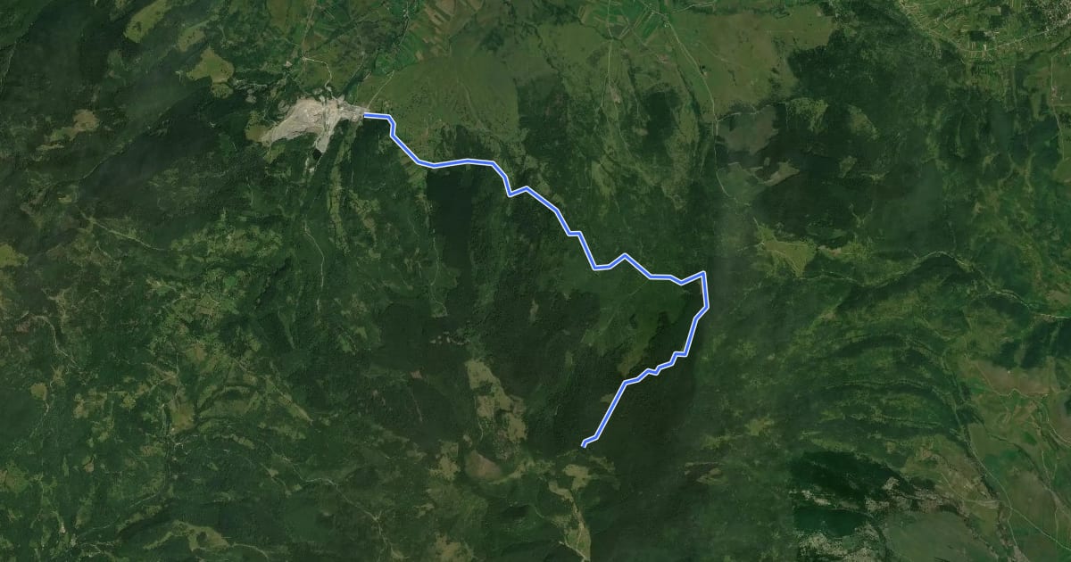 Маршрут Cariera Suseni - Muntele Fabian - intersecție traseul CA на спутниковом снимке