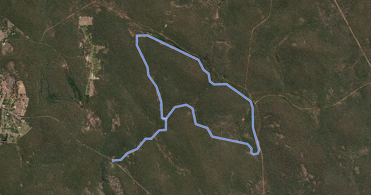 Маршрут Carinya Loop на спутниковом снимке