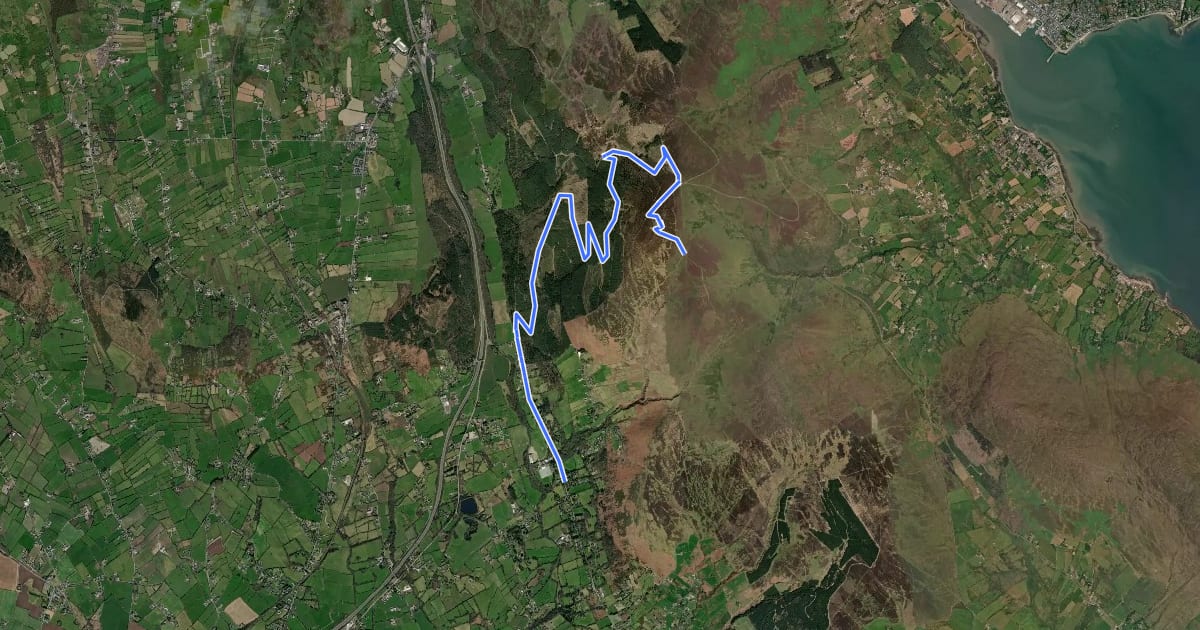 Маршрут Carlingford - Walk 4 - Ravensdale Loop на спутниковом снимке