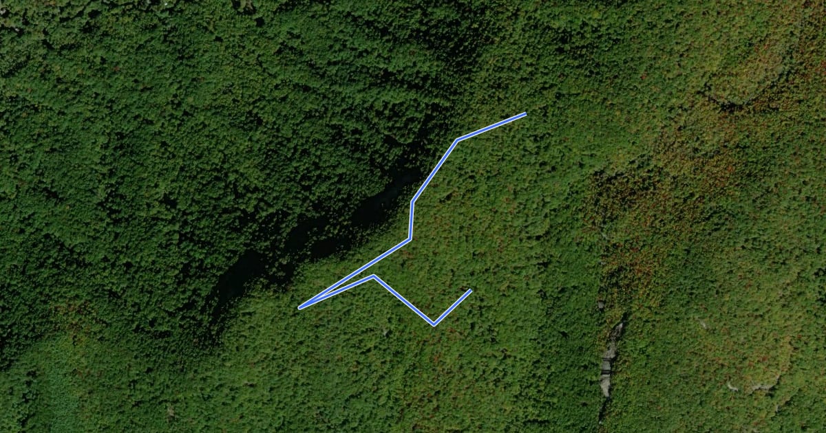Маршрут Carolina Hemlock Trail на спутниковом снимке
