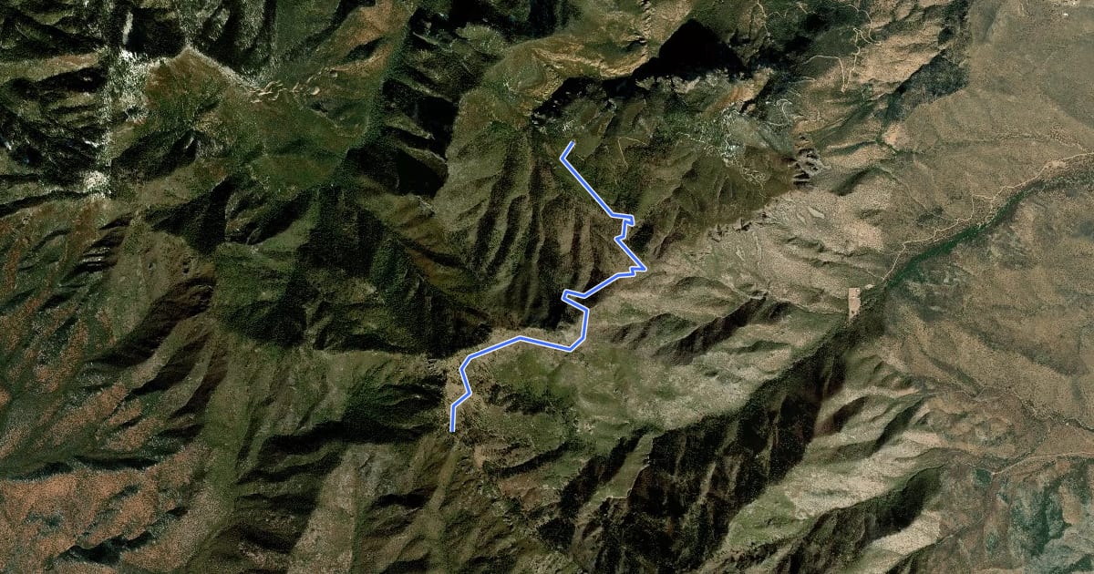 Маршрут Carr Peak Trail #107 на спутниковом снимке