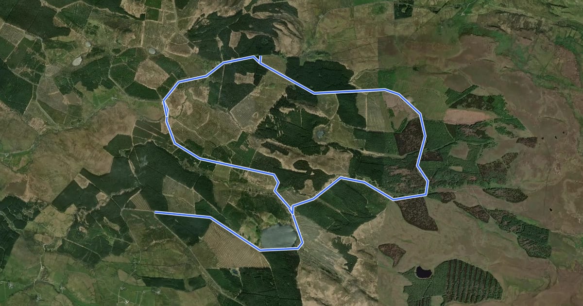 Маршрут Carrigan Forest - Lough Formal Walk на спутниковом снимке