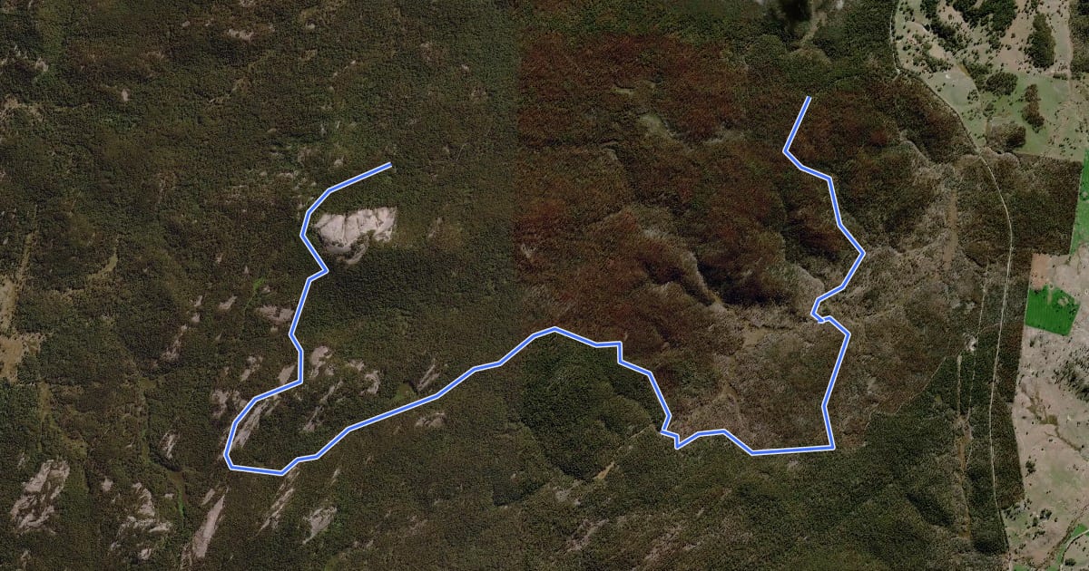 Маршрут Carrolls Creek Walk на спутниковом снимке