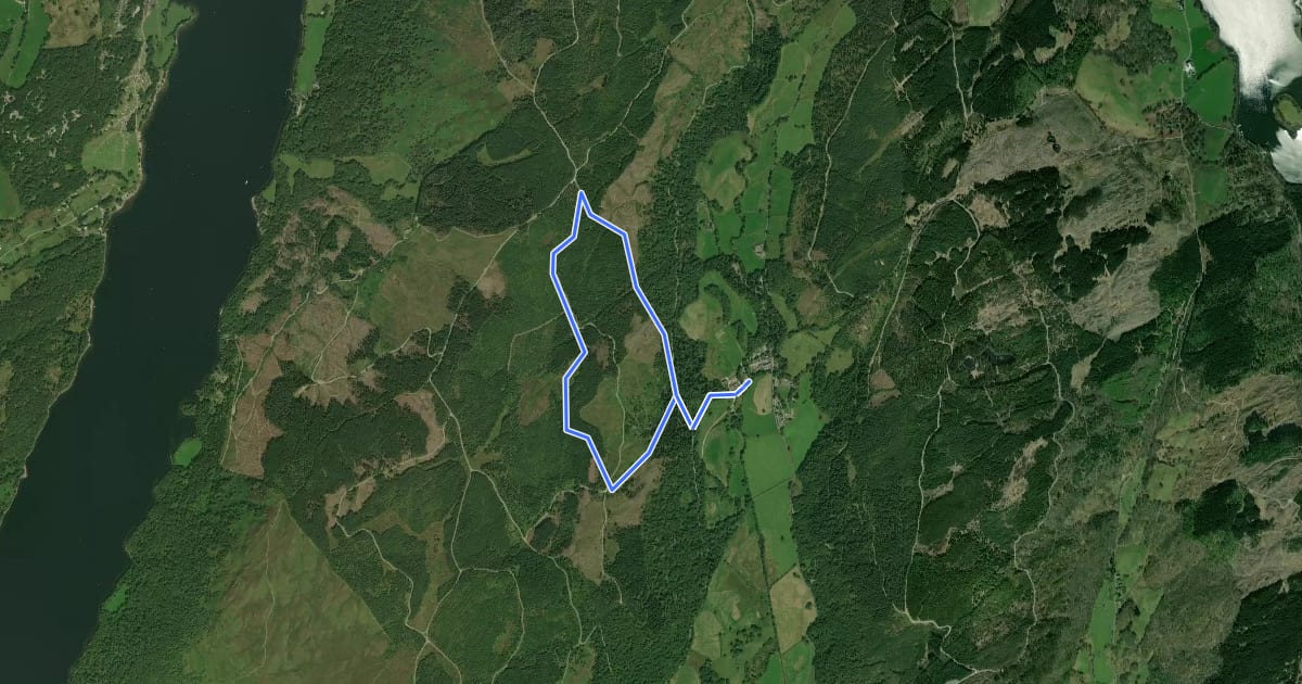 Маршрут Carron Crag Trail на спутниковом снимке