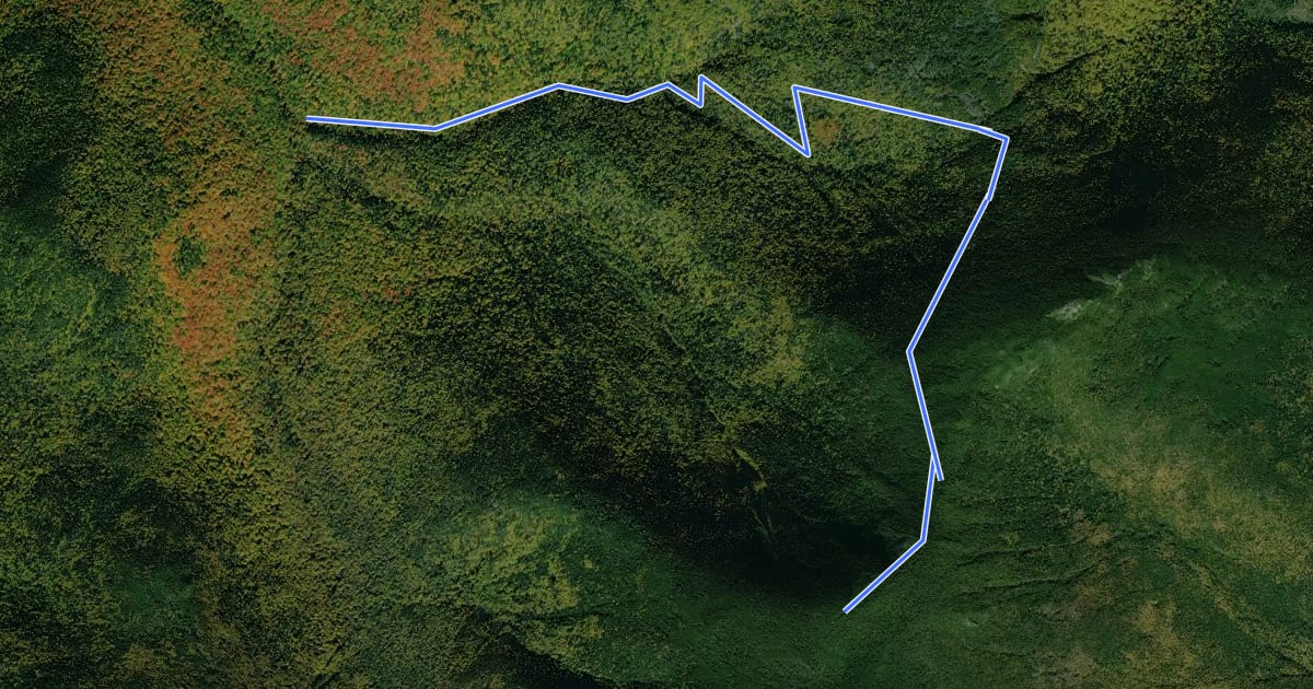 Маршрут Carter Dome Trail на спутниковом снимке