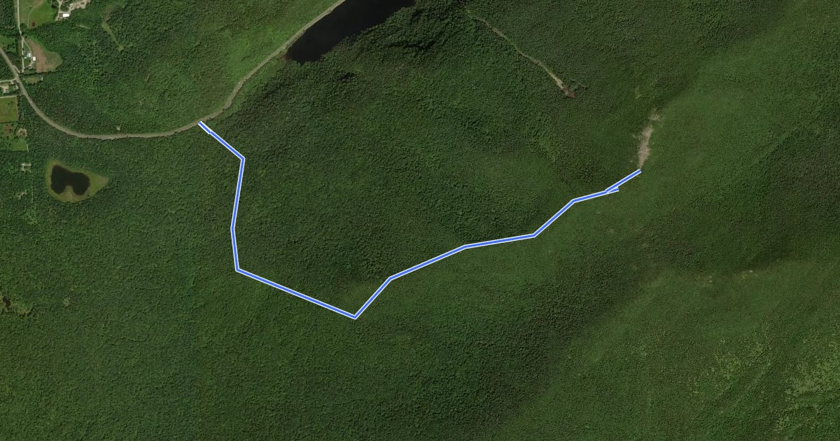 Маршрут Cascade Mountain Trail на спутниковом снимке