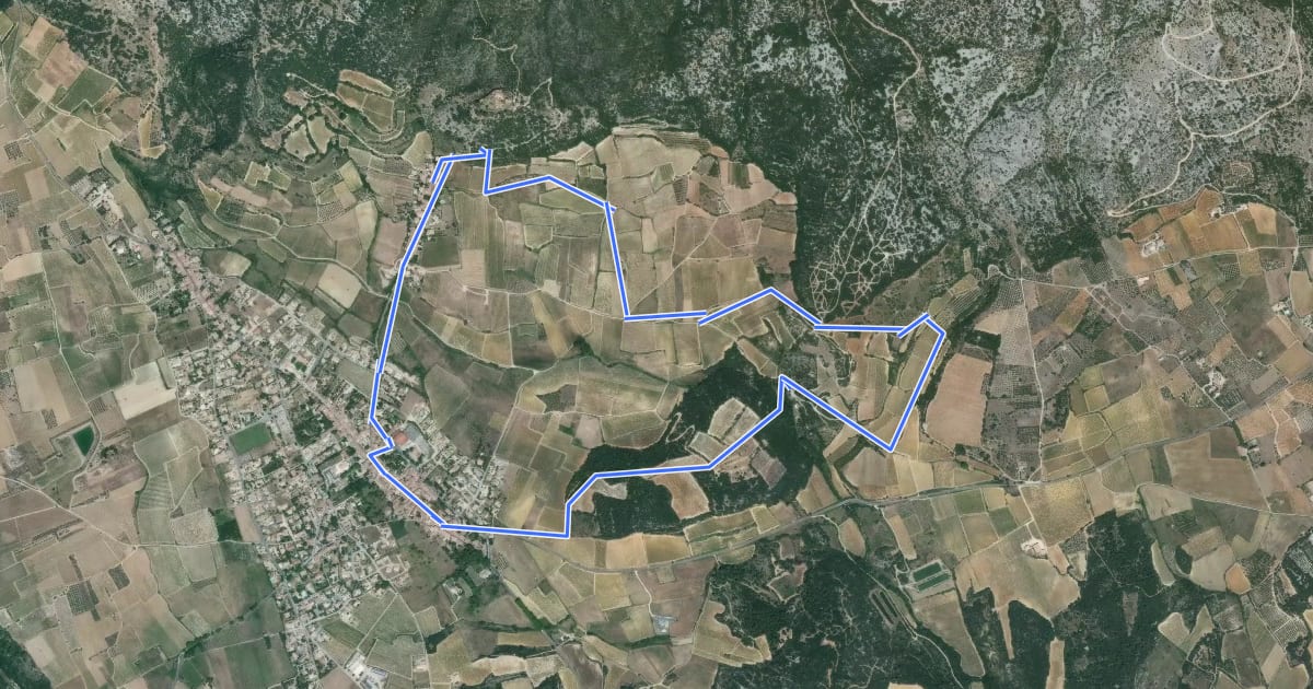 Маршрут Castelbarry на спутниковом снимке