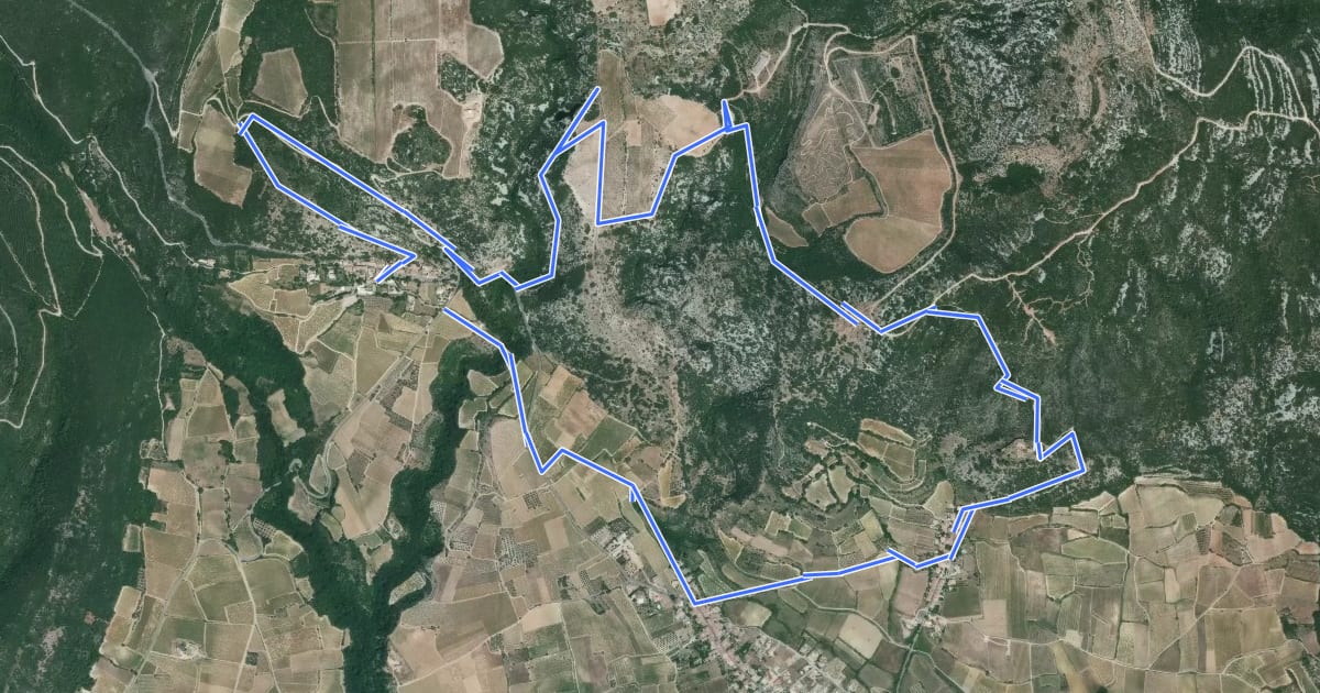 Маршрут Castellas de Montpeyroux на спутниковом снимке