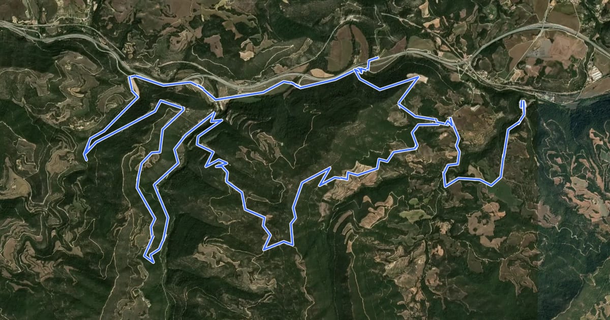 Маршрут Castells de Frontera Ruta 1 - De l’Agell (Rajadell) al castell de Castellar (Aguilar de Segarra) на спутниковом снимке