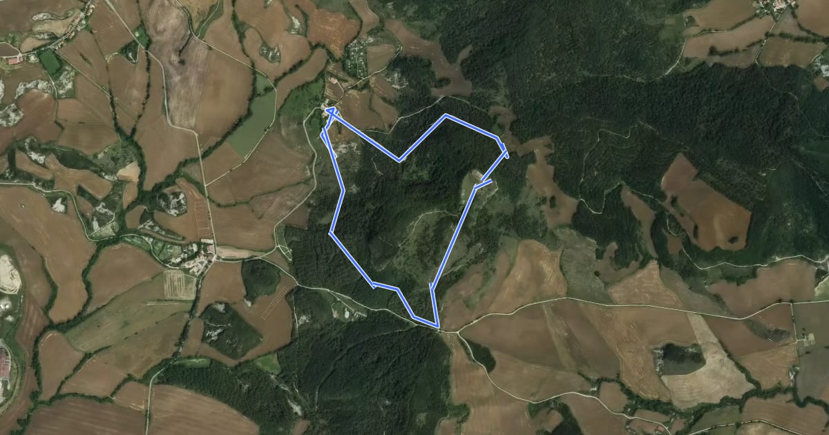 Маршрут Castillo de Irulegui на спутниковом снимке