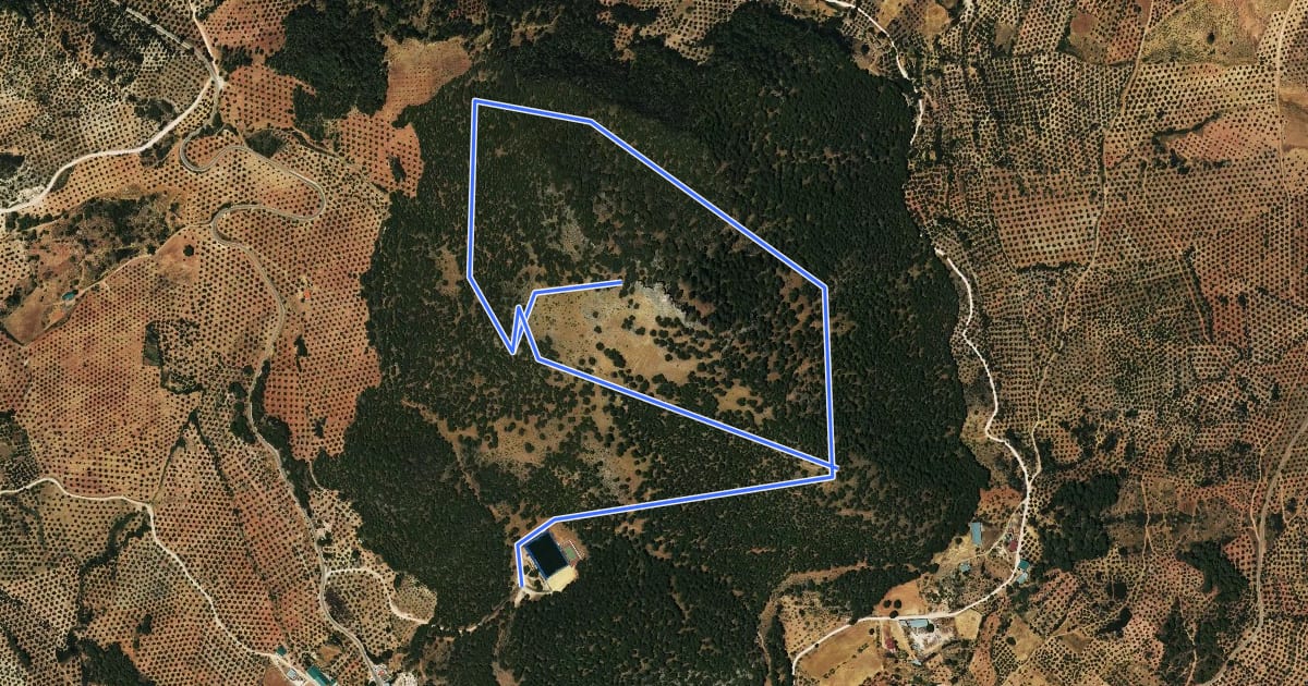 Маршрут Castillo de la Yedra на спутниковом снимке