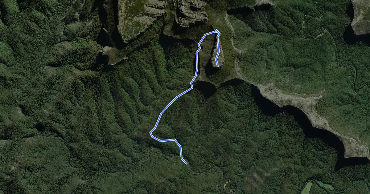 Маршрут Castle Walking Track на спутниковом снимке