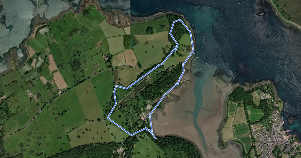 Маршрут Castle Ward Farm Trail, Castle Ward на спутниковом снимке
