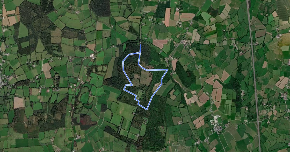 Маршрут Castlemorris Holly Loop на спутниковом снимке