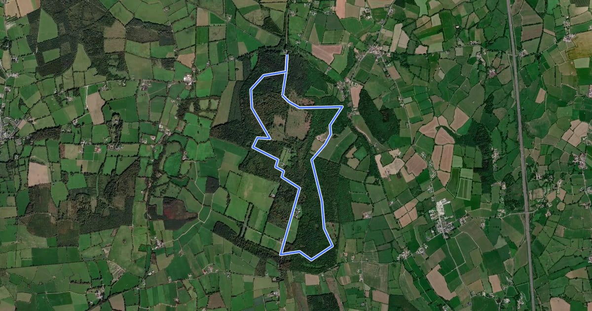 Маршрут Castlemorris Pheasant Loop на спутниковом снимке