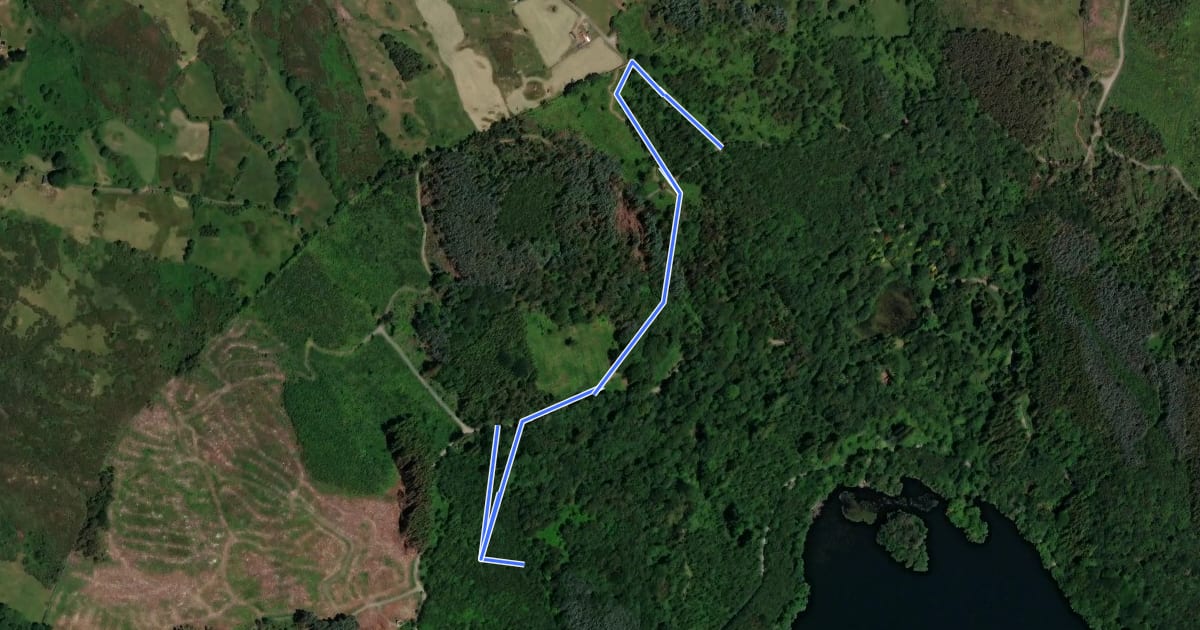 Маршрут Castlewellan Forest Park - Black Trail (Dolly's Chute) на спутниковом снимке