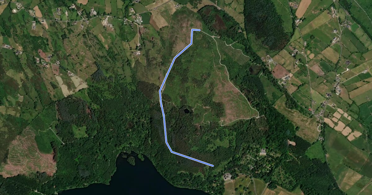 Маршрут Castlewellan Forest Park - Black Trail (The Great Escarpe) на спутниковом снимке