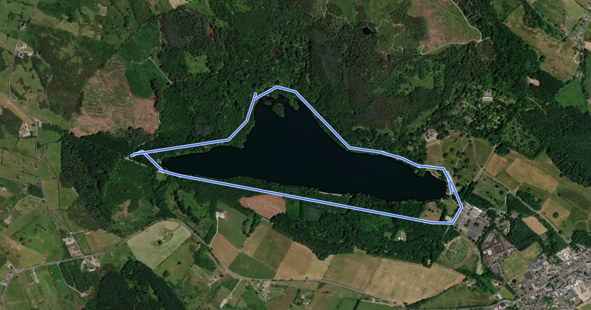 Маршрут Castlewellan Forest Park - Blue Trail на спутниковом снимке