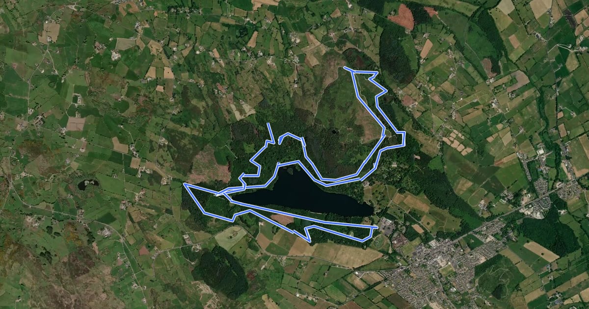 Маршрут Castlewellan Forest Park - Red Trail на спутниковом снимке