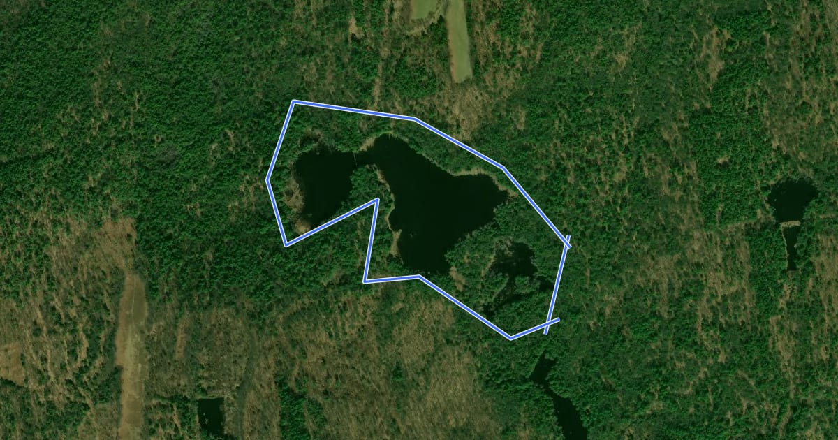 Маршрут Castor Pond Loop Trail на спутниковом снимке