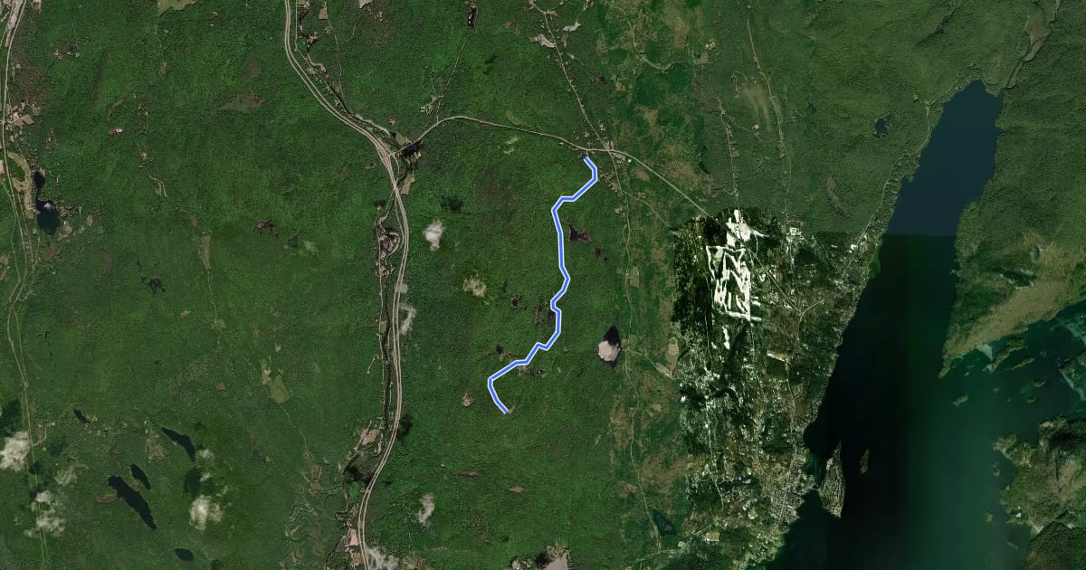 Маршрут Cat Mountain Blue Trail на спутниковом снимке