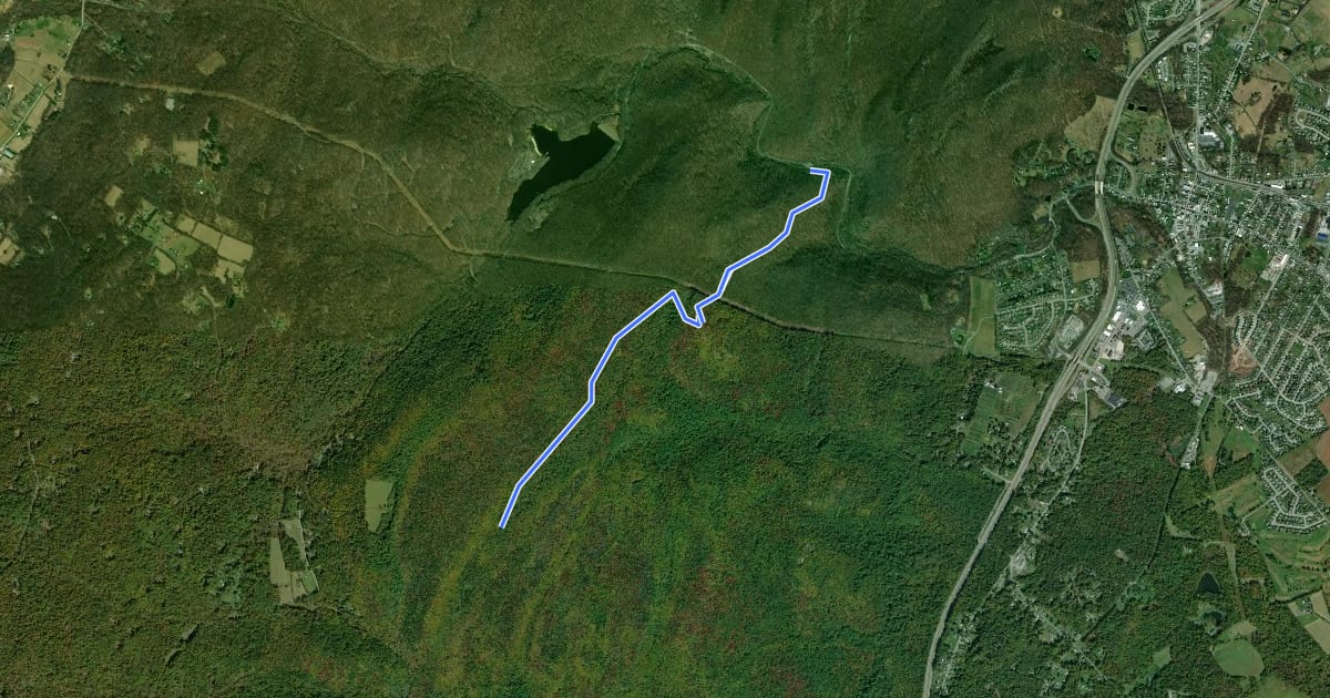 Маршрут Cat Rock Trail на спутниковом снимке