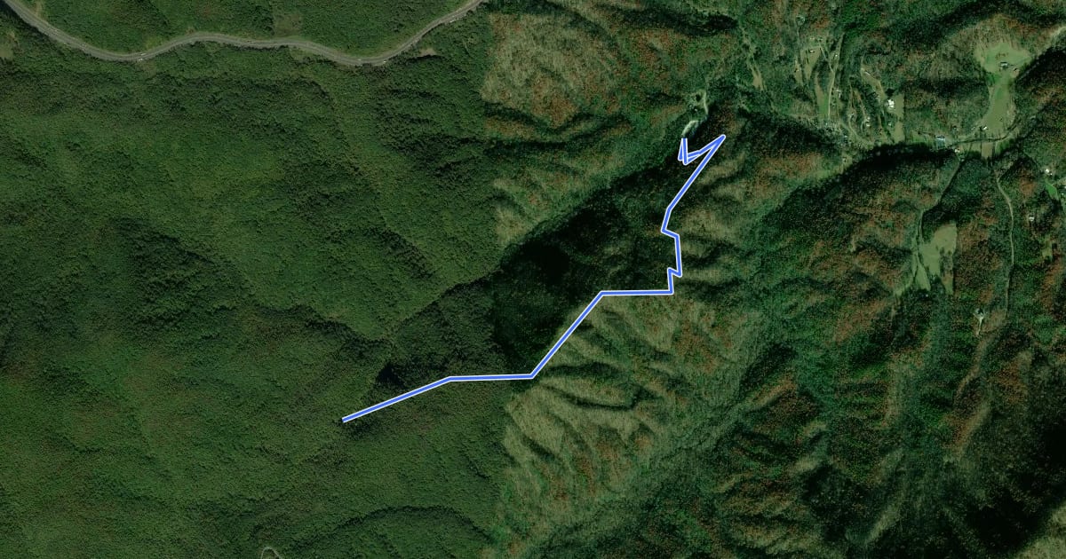 Маршрут Catawba Falls Ridge Trail на спутниковом снимке