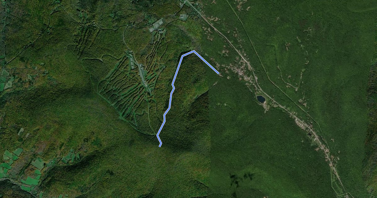 Маршрут Cathedral Glen Trail на спутниковом снимке