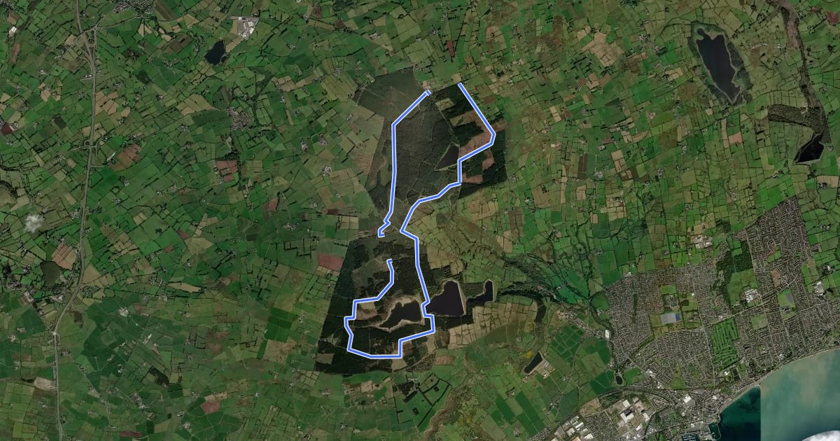 Маршрут Causeway Coast and Glens - 7 - Woodburn Forest на спутниковом снимке