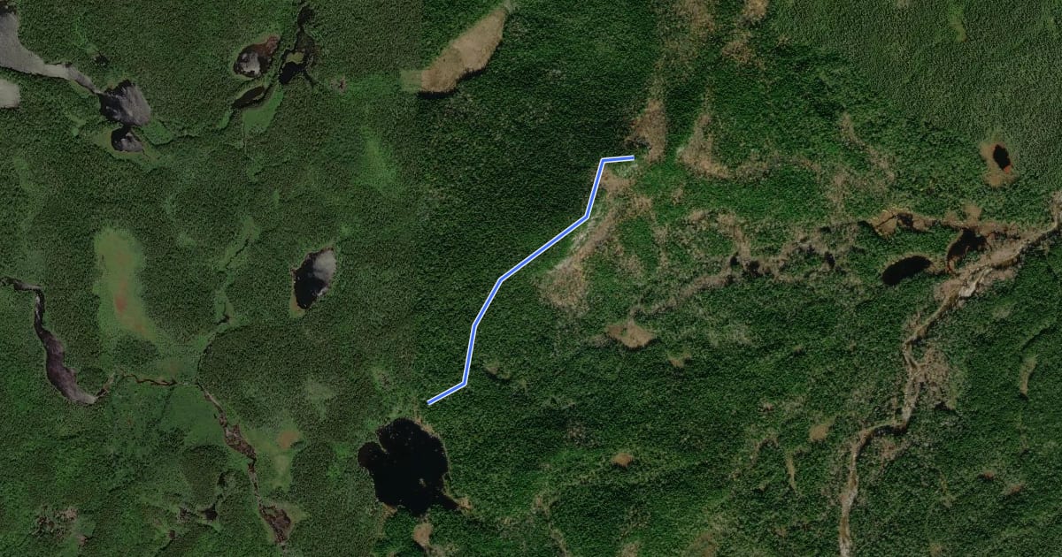 Маршрут Caverly Lookout на спутниковом снимке