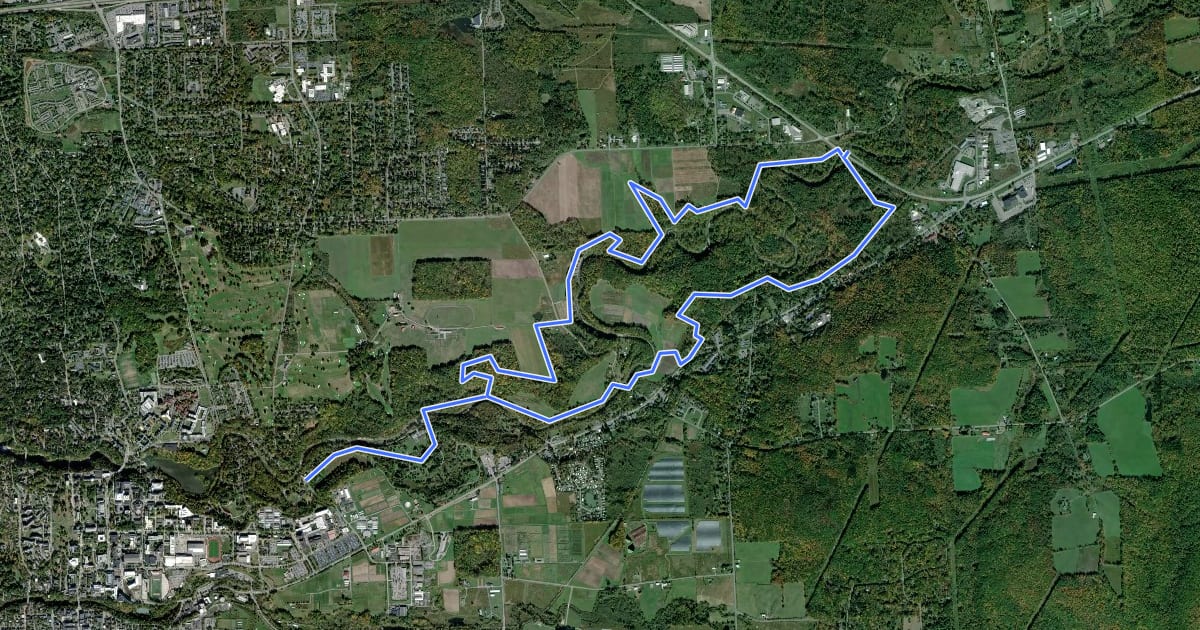Маршрут Cayuga Trail на спутниковом снимке