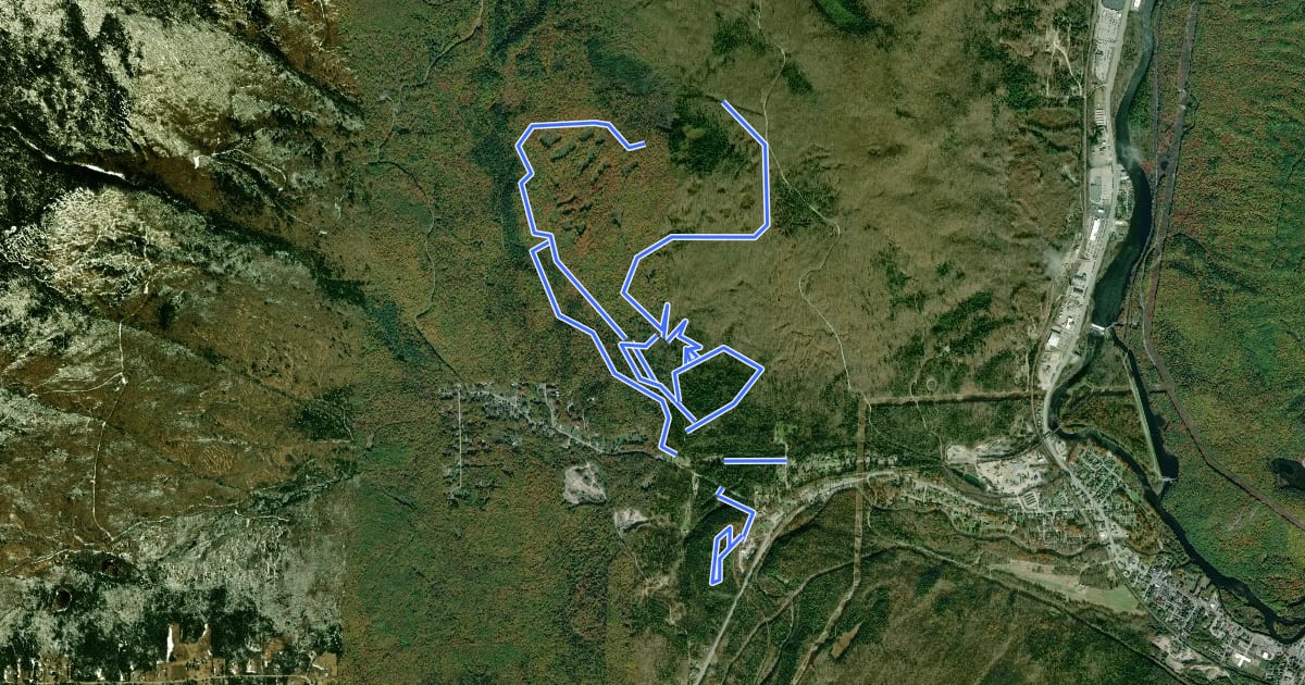 Маршрут CCC Moose Brook trails на спутниковом снимке
