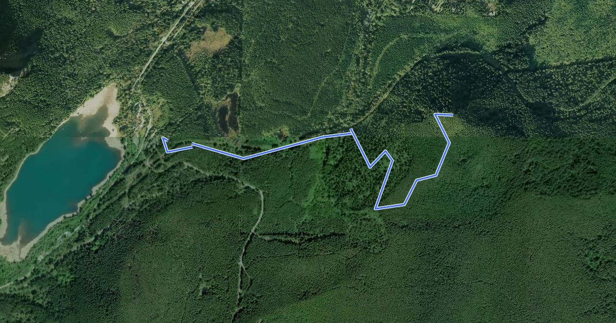 Маршрут Cedar Butte Trail на спутниковом снимке