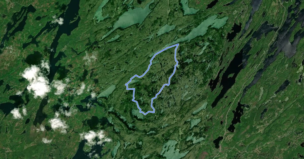 Маршрут Cedar Lake Loop на спутниковом снимке
