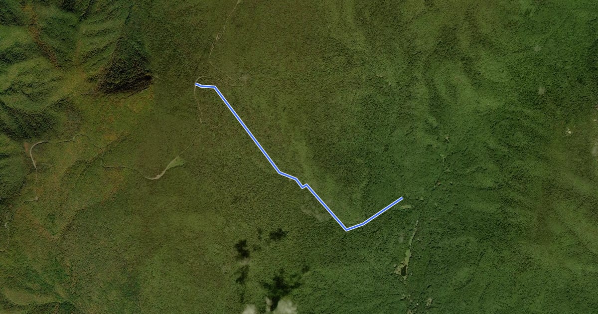 Маршрут Cedar Run Trail на спутниковом снимке