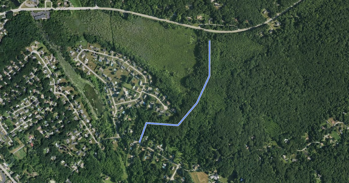 Маршрут Cedar Swamp Trail на спутниковом снимке
