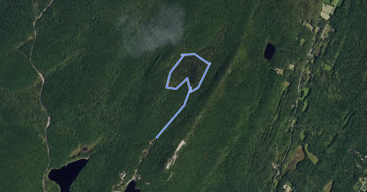 Маршрут Cedar Swamp Trail на спутниковом снимке