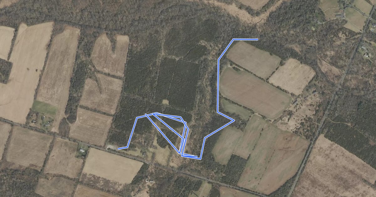 Маршрут Cedar Trail на спутниковом снимке