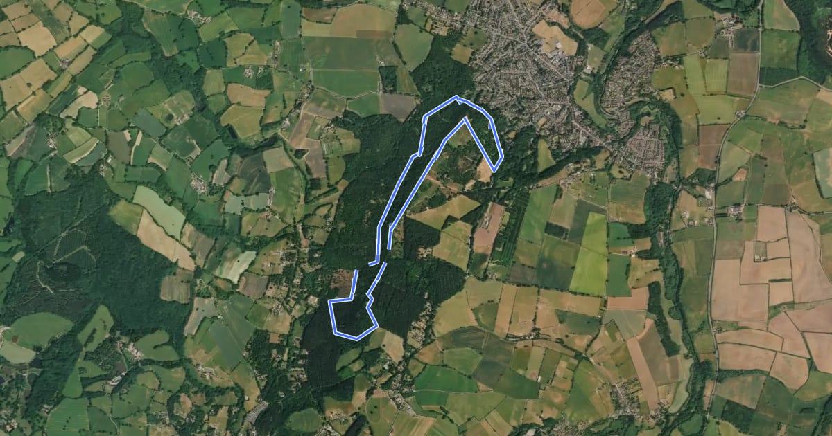 Маршрут Centenary Trail, Kinver Edge на спутниковом снимке