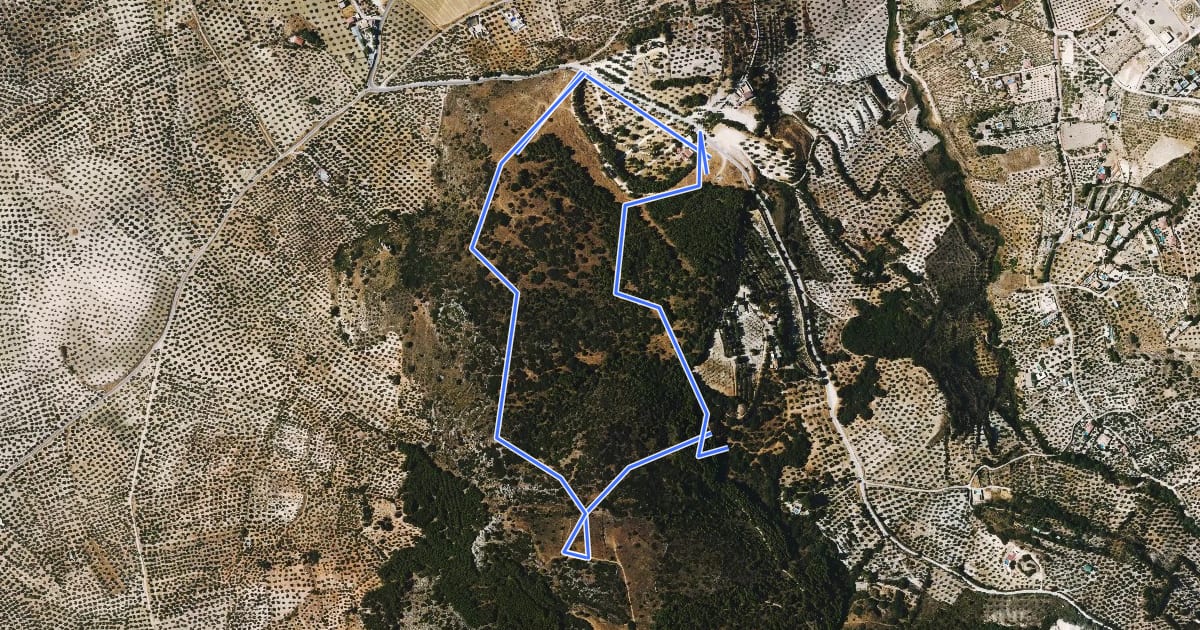 Маршрут Cerro Miguelico на спутниковом снимке