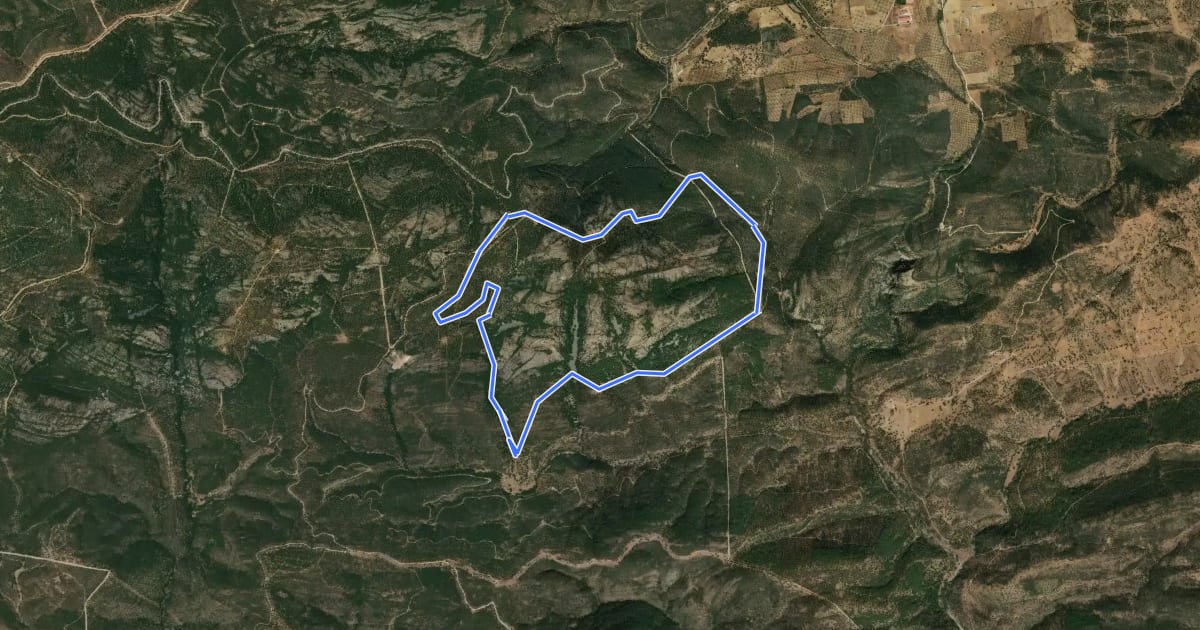 Маршрут Cerro Monuera на спутниковом снимке